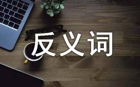 普通的反义词及造句