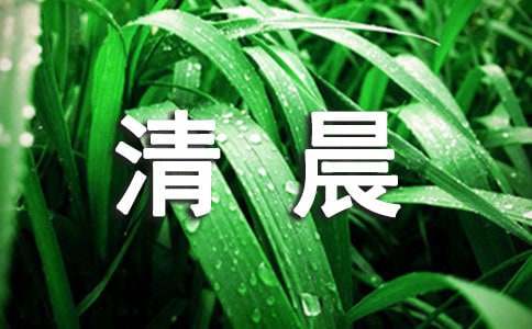 清晨阳光的唯美句子