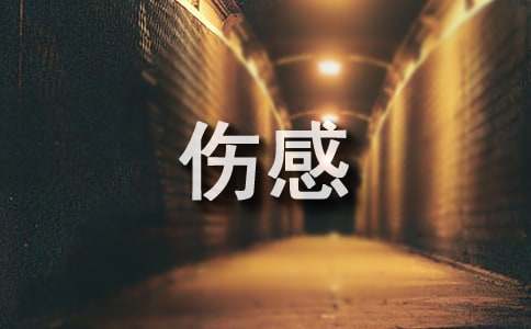 简洁的伤感微小说的语录摘录