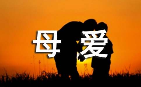 写母爱的作文