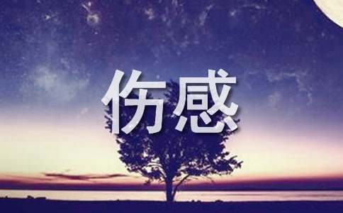 经典非主流伤感语录24条