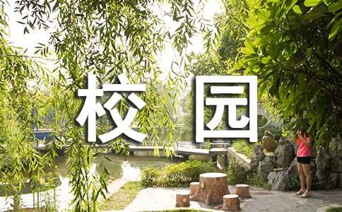 校园周边安全排查总结