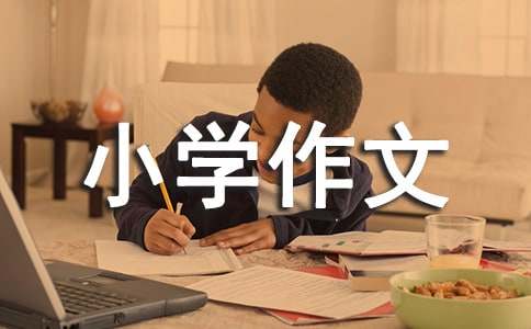 小学作文：感悟生活