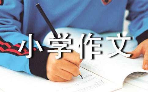 我与作文的不解之缘小学作文