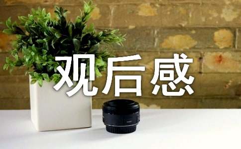 红楼梦观后感