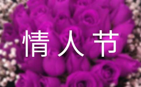 调侃情人节的短句子